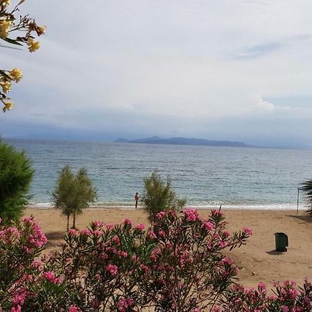 Perfect Beachfront Apartment Афіни Екстер'єр фото